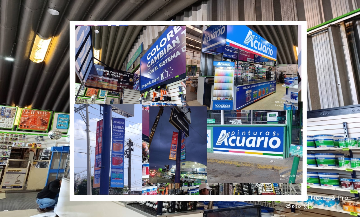 pinturas acuario